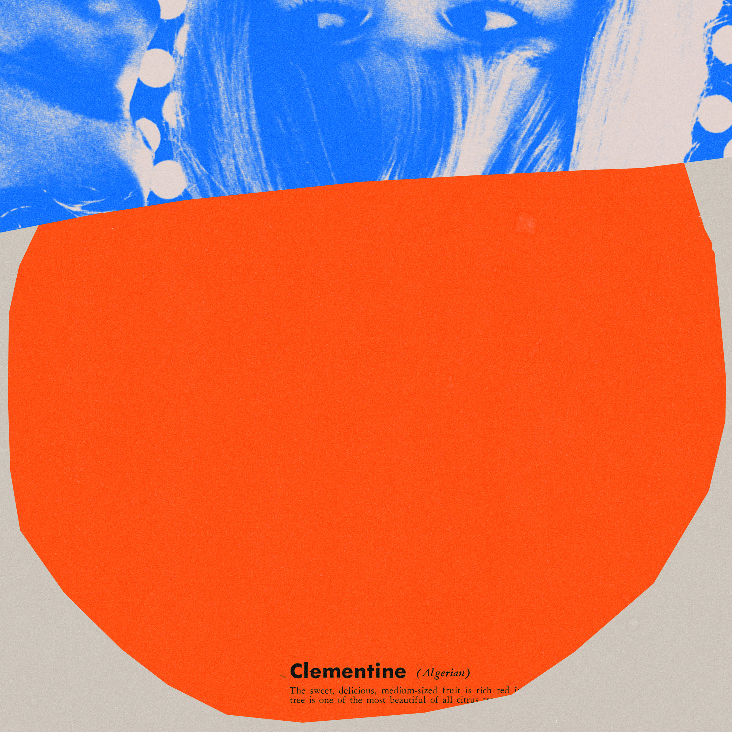 Clementine — Ditch Days illustration