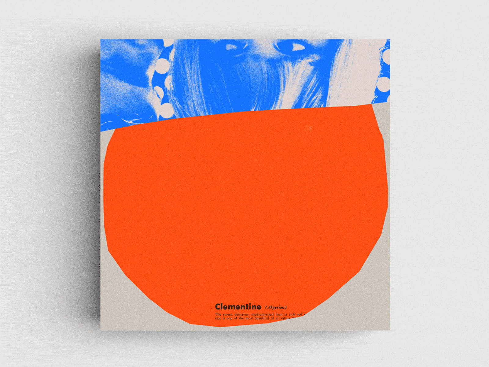 Clementine — Ditch Days