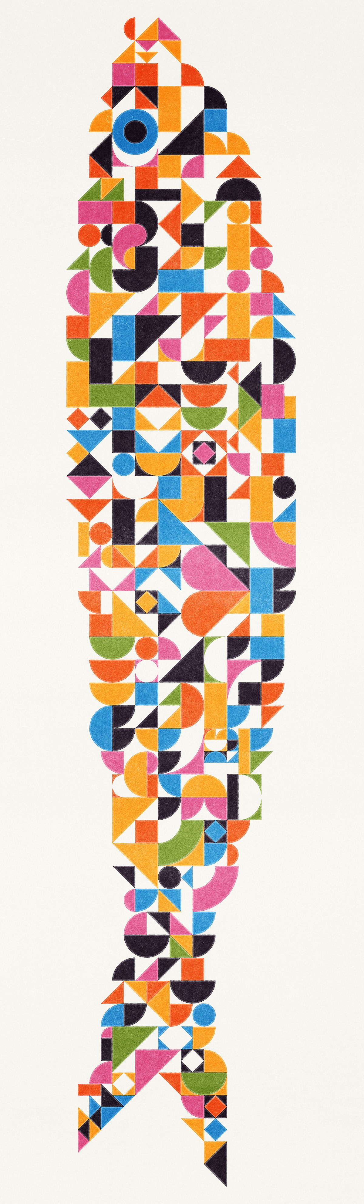 Ricardo Santos geometric diversity sardine 2019 illustration